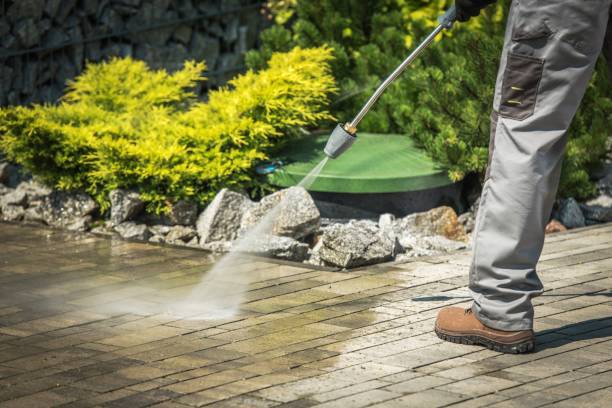 Best Roof Washing  in Perry, FL