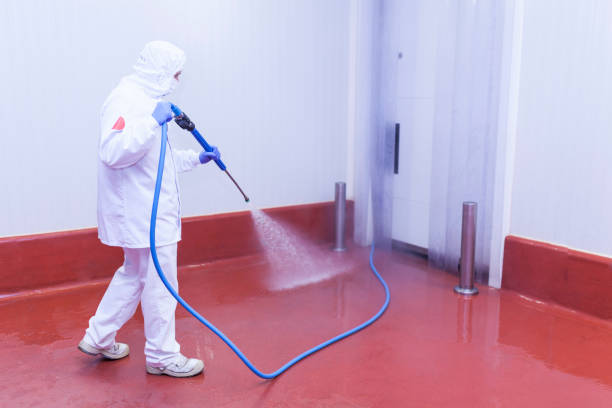 Best Restaurant Pressure Washing  in Perry, FL