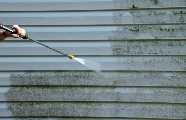 Best House Exterior Washing  in Perry, FL