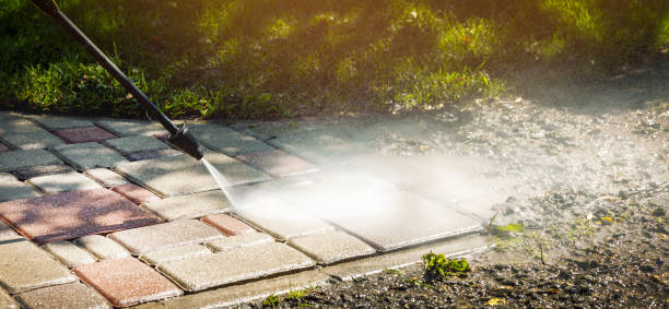 Best Solar Panel Cleaning  in Perry, FL